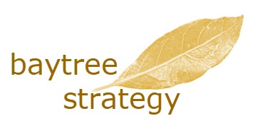 Baytree Strategy